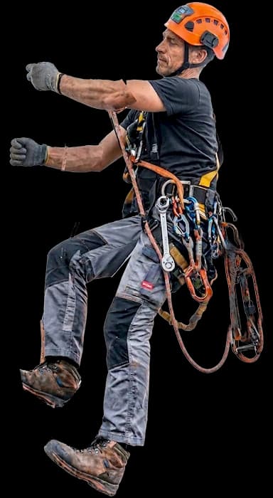 Rigger Climbing